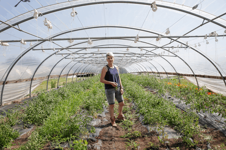 Sandrine Pingeon cultive ses fruits et légumes sur 3,5 hectares à Munsbach. (Photo: Romain Gamba/Maison Moderne)
