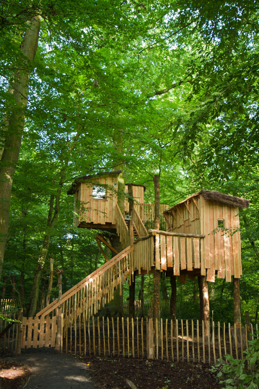 Le site possède aussi cinq cabanes installées dans les arbres.  (Photo: Morgane Bricard)
