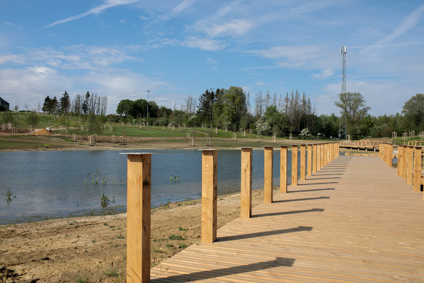 Au bord de l’étang, un chemin en bois est prévu. (Photo: Matic Zorman / Maison Moderne)