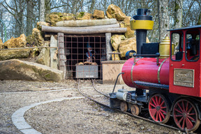 Manèges et attractions pour les plus petits. (Photo: Mike Zenari/Archives)