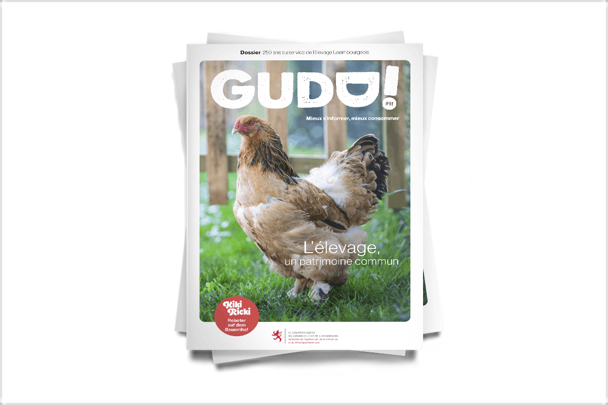 Le nouveau magazine GUDD! est à découvrir en ligne dès à présent. Maison Moderne