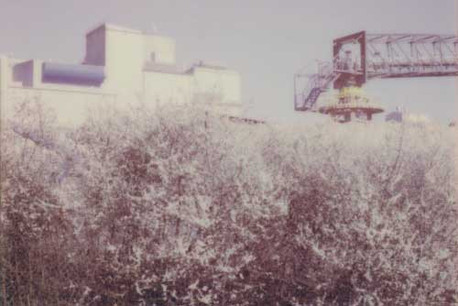 Paul Kirps présente ses derniers travaux: des photos réalisées au polaroïd. (Photo: Paul Kirps)