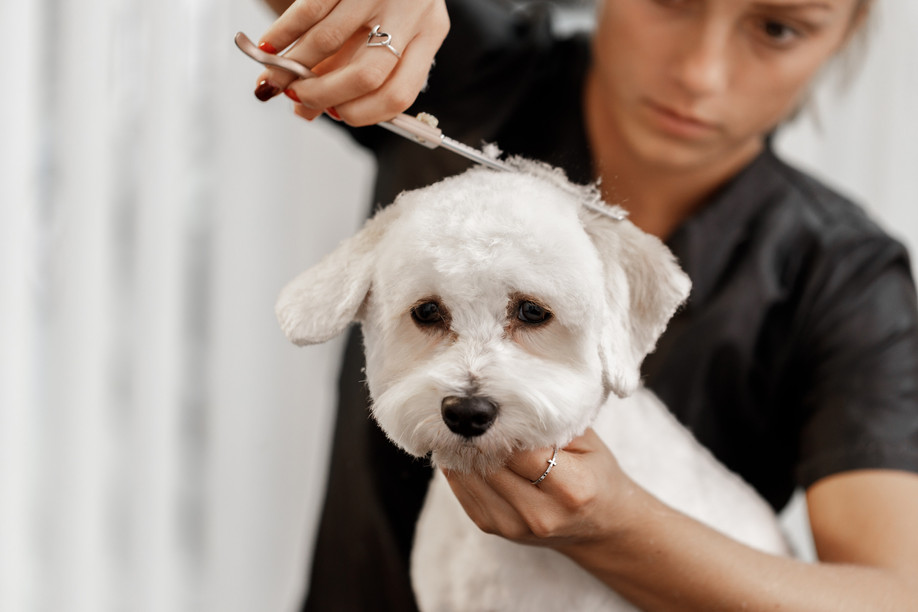 Owning a pet can make costs add up but love has no price. Photo: Shutterstock