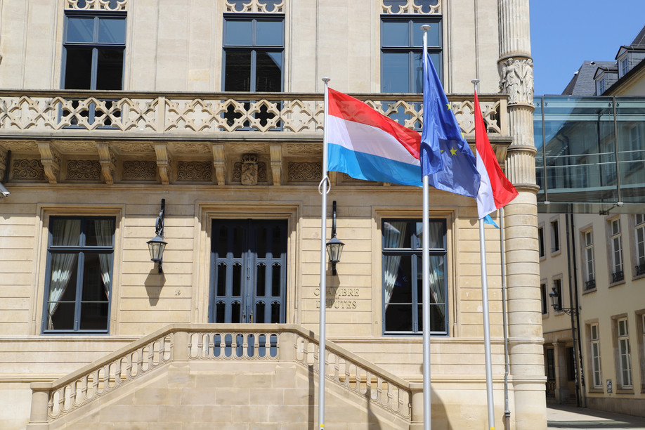 The issue, according to the petitioner, lies within the fact that not all parents can rely on relatives or friends to look after a sick child, and that parents sometimes have to resort to calling in sick to be able to care for their kid. Chambre des députés/Flickr