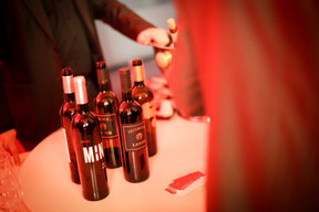 ceo-cocktail-24.01.2013-125.jpg