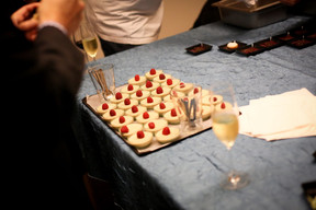 ceo-cocktail-24.01.2013-140.jpg