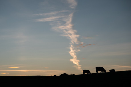 Biodiversité, pollution, gaz à effet de serre: la politique agricole nationale a un lourd effet sur l’environnement. Suite à l’accord sur la nouvelle PAC, le plan national pour l’agriculture devrait apporter des réponses. Mais inverser la tendance semble difficile. (Photo: Shutterstock)