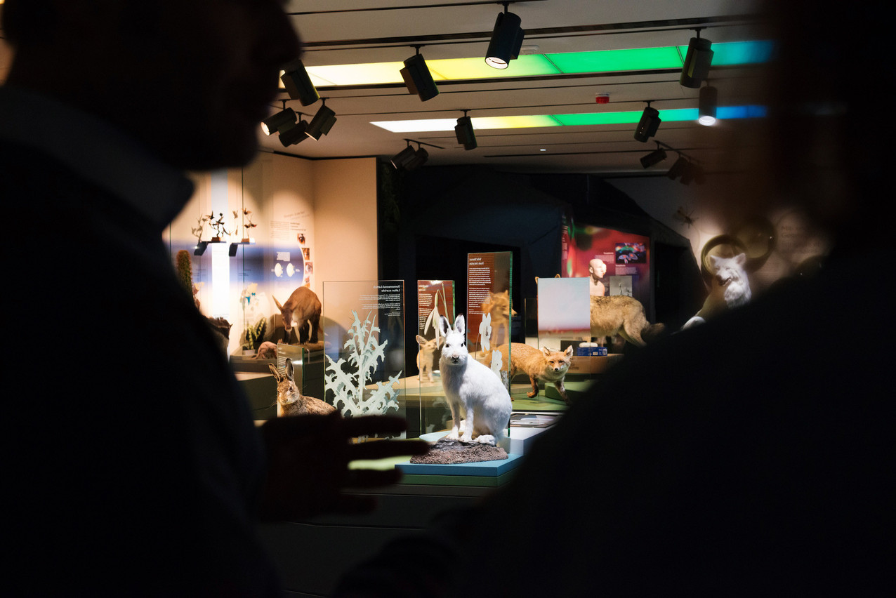 Museums across the country are open till after midnight and feature special cultural programmes. Library picture: Lala La Photo