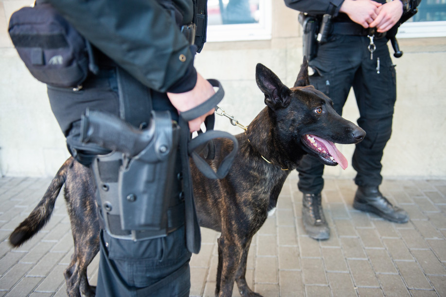 Archive photo of a canine unit at the central train station LaLa La Photo