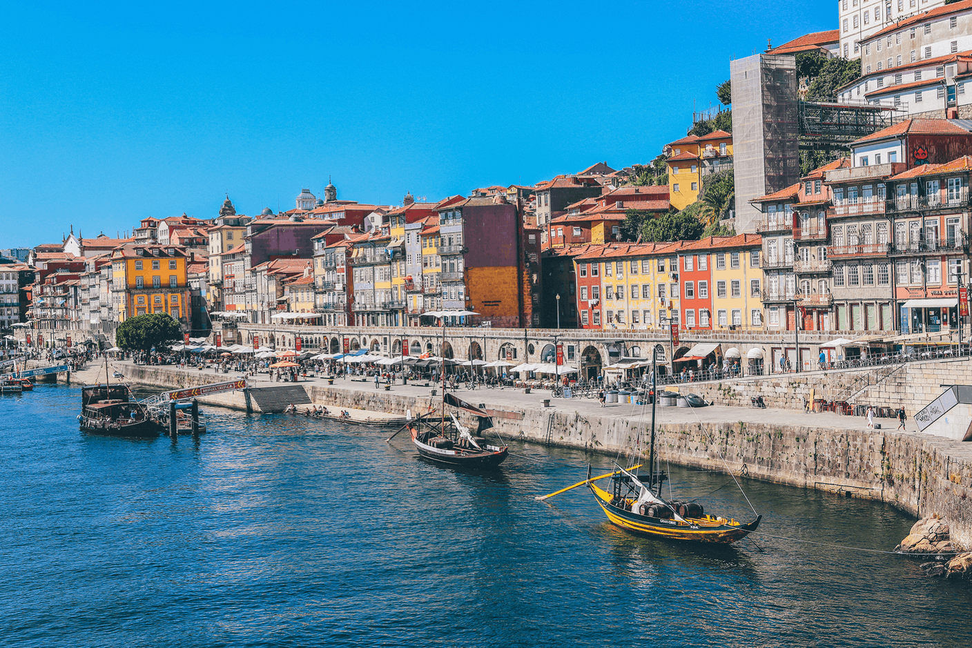  La solution sur mesure de OneLife: Wealth Portugal OneLife