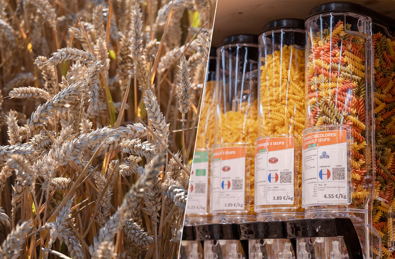 Between excess heat and excess humidity, the durum wheat harvest is well below expectations and the average levels observed in recent years, pushing up prices Photos: Shutterstock; Romain Gamba / Maison Moderne