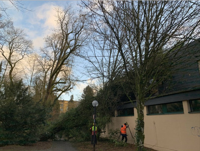 La plus grande prudence est recommandée sur les routes en raison des chutes de branches et d’arbres rendues possibles par les vents violents de la nuit. (Photo: CGDIS/Twitter)