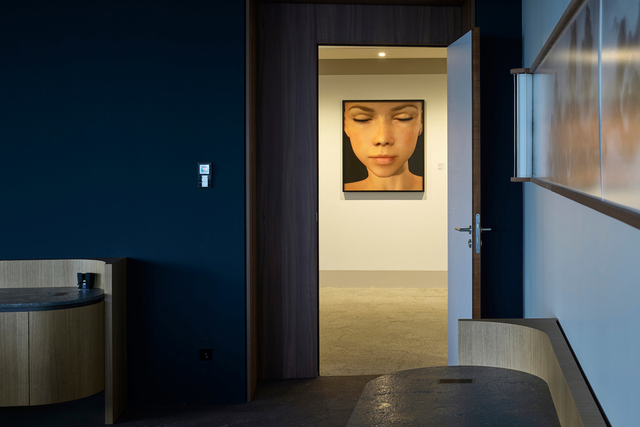 L’œuvre de TTY, «Toko No ma», est exposée dans les locaux d’Arendt au Kirchberg. (Photo: Eric Chenal)