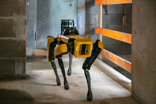 Spot, le chien robot, est utilisé par Stugalux pour effectuer des scans 3D des chantiers de construction afin de vérifier que les structures sont conformes aux plans. (Photo: Romain Gamba/Maison Moderne)