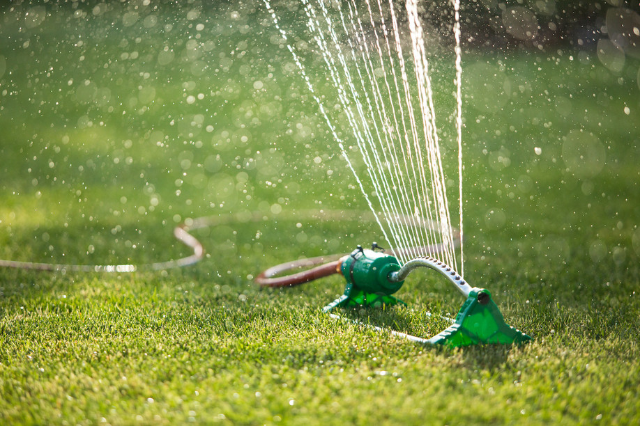 Households should stop watering lawns and filling swimming pools to help conserve water Photo: Shutterstock