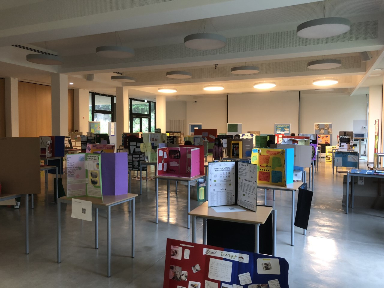 Student science exhibitions are pictured in a classroom Lycée Michel Lucius