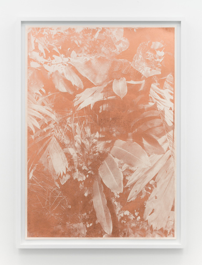 Roman Moriceau,  Botanische Garten Meise , 2018, Sérigraphie, 107,5 x 77,5 x 4 cm, édition de 3, Archiraar Gallery, — Stand E01 —, 4.100€ (Photo: Gilles Ribero)