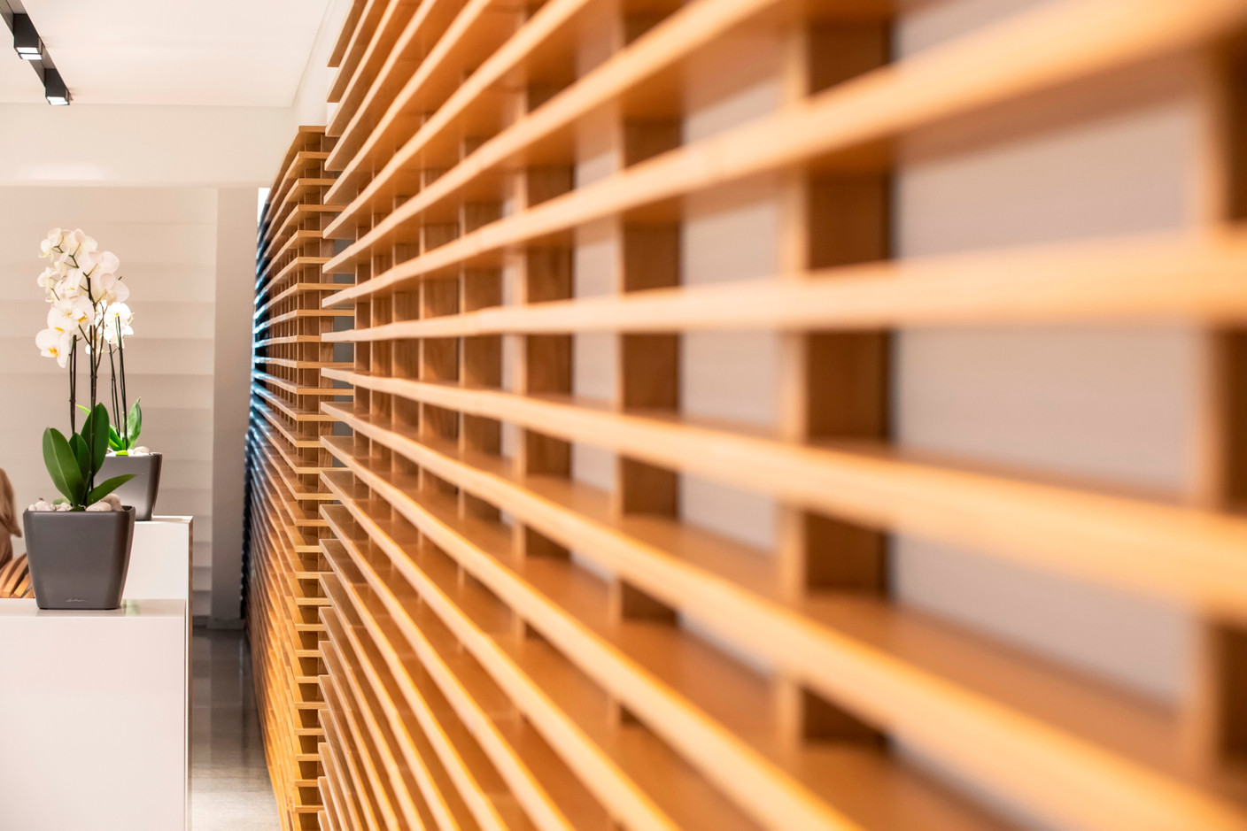 La gouvernance est donc l’organisation de cette entité, quelle que soit sa forme, afin d’optimiser son développement et pérenniser ses actifs. (Photo: © Blitz Agency 2019)