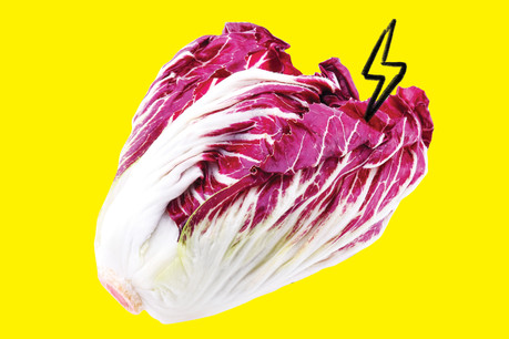 Amertume et couleur, le radicchio est l’atout santé d'un hiver gourmand. (Design: Maison Moderne)