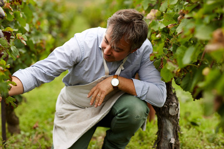 Raphaël Bérêche: le terroir avant tout. (Photo: Maison Bérêche)