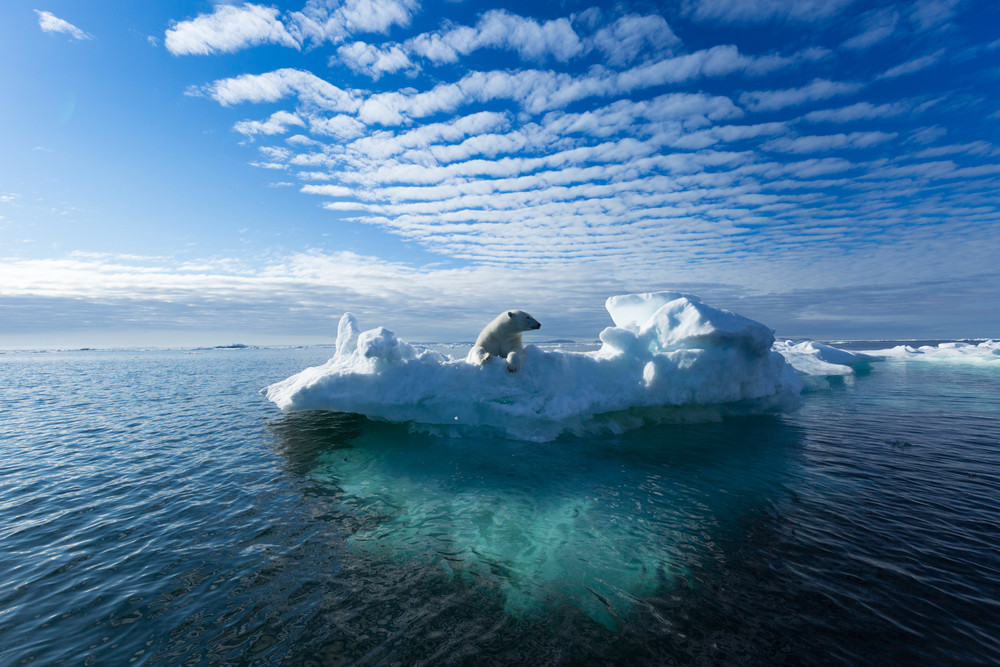 Les auteurs du rapport indiquent que le réchauffement de l’océan a doublé depuis 1982. (Photo: Shutterstock)