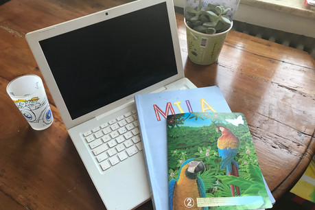 «Nous avons eu une montée en puissance du rythme et du nombre de devoirs», explique cette maman d’une petite fille inscrite en sixième année primaire à l’école luxembourgeoise. (Photo: DR)