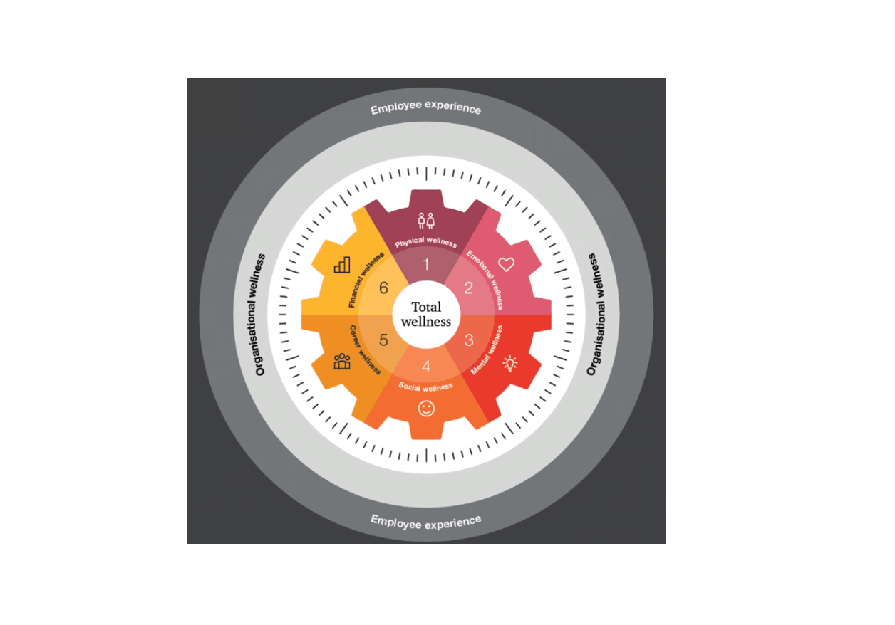 Employee experience ⒸPwC