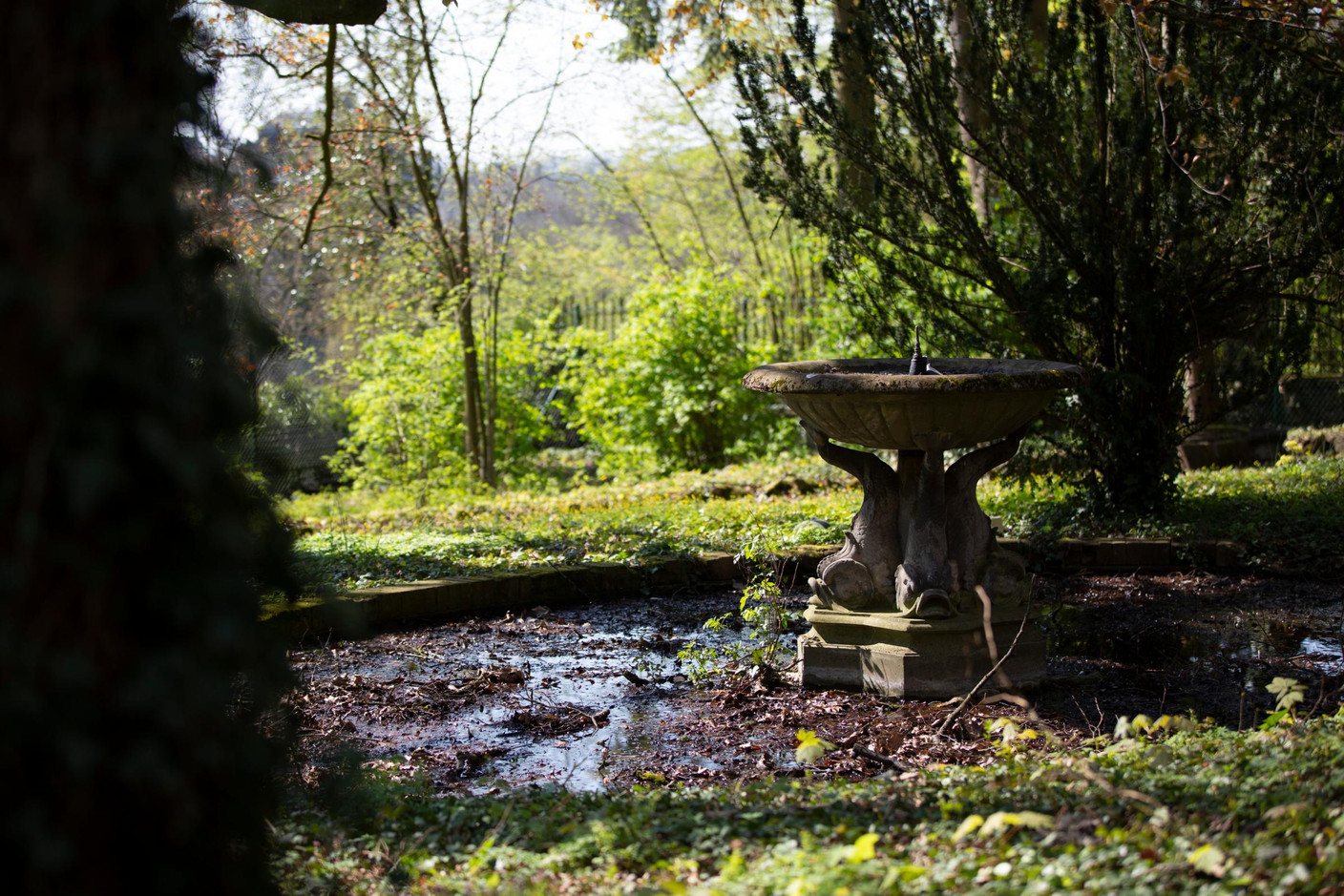 Le jardin de la villa est l'oeuvre du paysagiste Edouard André. (Photo: Jan Hanrion - Patricia Pitsch)