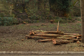 Pour retravailler les berges, il est nécessaire d’abattre quelques arbres, qui seront remplacés par la suite. (Photo: Matic Zorman / Maison Moderne)
