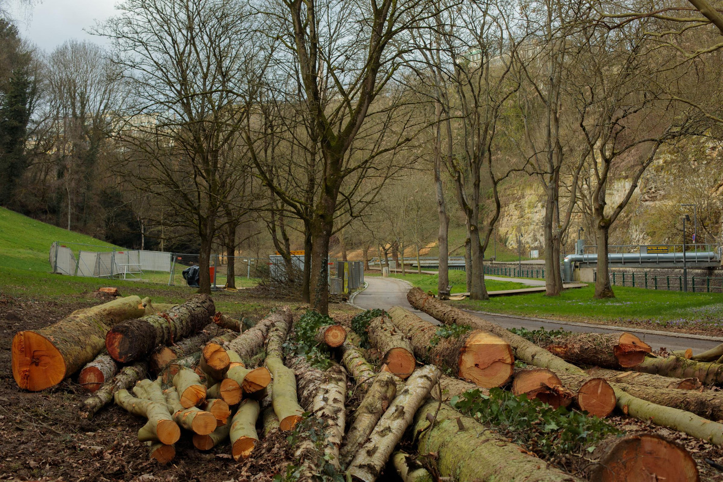 Pour retravailler les berges, il est nécessaire d’abattre quelques arbres, qui seront remplacés par la suite. (Photo: Matic Zorman / Maison Moderne)