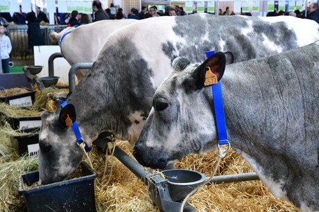 Le rendez-vous des amoureux de l’agriculture aura bien lieu cette année. (Photo: Shutterstock)