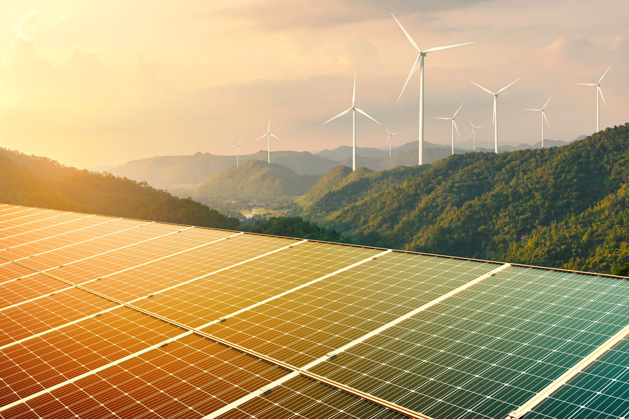 In 2024, growth in renewable energy was largely driven by solar photovoltaics.  Photo: Shutterstock