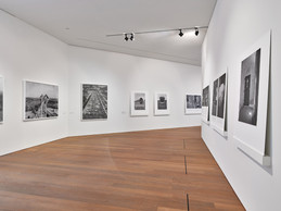 Vue de la série «Et des terrils un arbre s'éleva» ((Photo: Studio Rémi Villaggi))