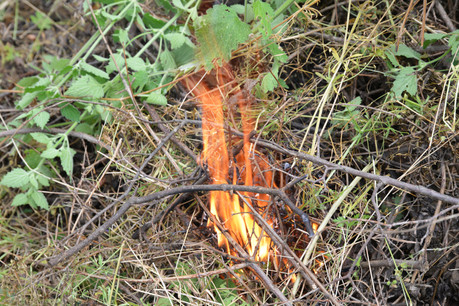 Un mégot ou un morceau de verre suffisent pour un départ de feu. (Photo: Shutterstock)