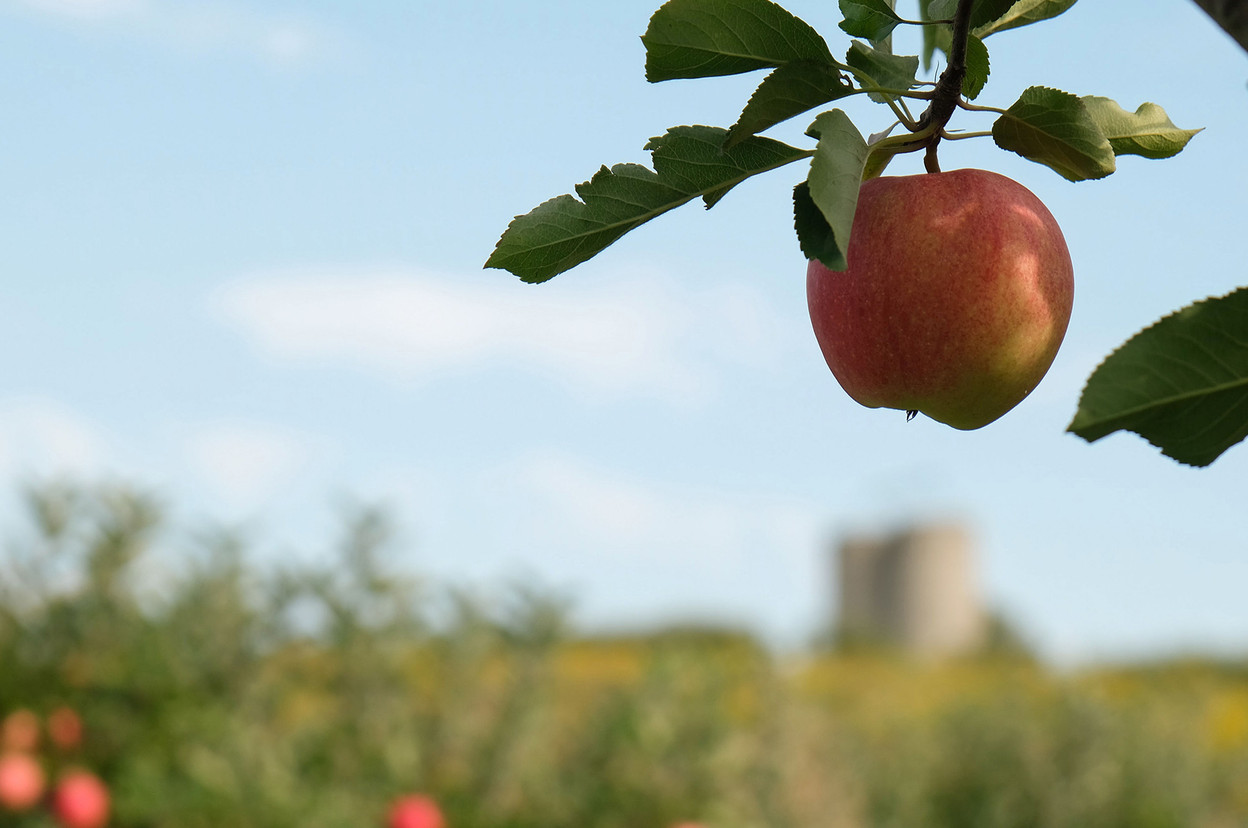 Rosport Pom’s souffle ses 10 bougies et se présente dans un tout nouveau Look. (Photo: Rosport)