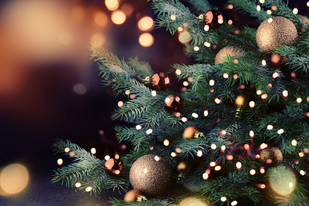 Près d’un ménage sur deux opte pour le sapin artificiel, tandis qu’un tiers opte pour les sapins de Noël naturels, selon une enquête de Lidl au Luxembourg. (Photo: Shutterstock)