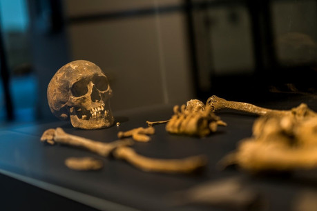 Qui n’a jamais rêvé de devenir archéologue et d’entrer dans les costumes d’Indiana Jones ou de Lara Croft? Pour avoir une idée de ce métier et des découvertes qu’il permet de faire, rendez-vous est donné au Musée archéologique d’Arlon chez nos voisins belges. (Photo: Facebook/Musée archéologique d’Arlon)
