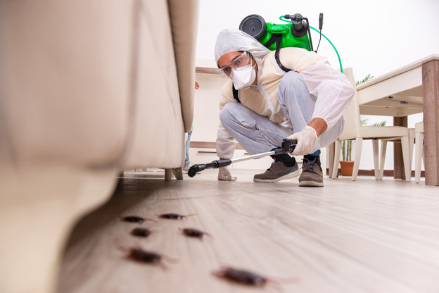 Une nouvelle arnaque est apparue: les «spécialistes» de la désinfection de logement. Qui trouvent là une occasion de pénétrer dans votre domicile, alerte la préfecture de Moselle. (Photo: Shutterstock)