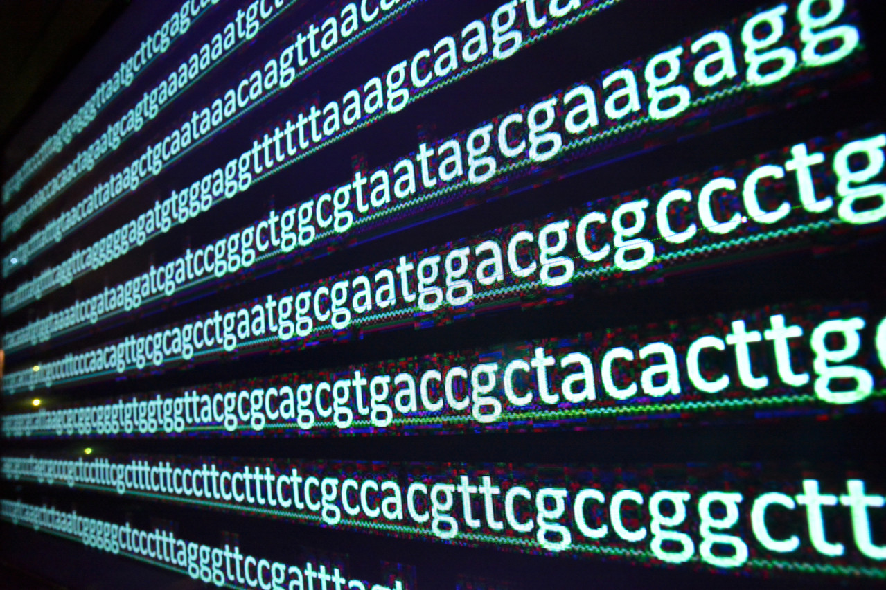 Le séquençage du génome permettra à la médecine de faire un bond en avant. Le projet luxembourgeois vise à redonner le contrôle de son génome à chaque Européen. (Photo: Shutterstock)
