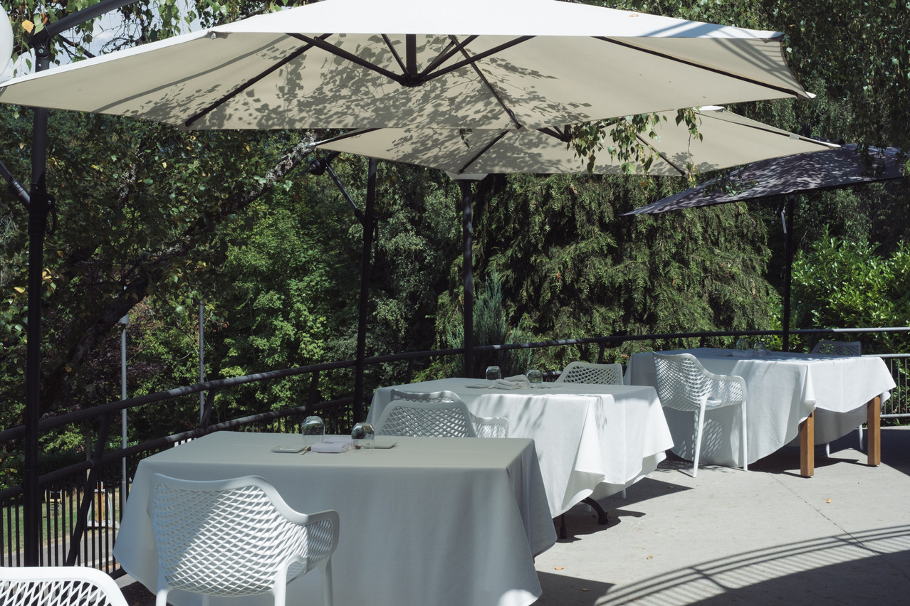 A terrace with a view of the tree canopy: that’s Bosque Fevi. Photo: Sebastien Goossens