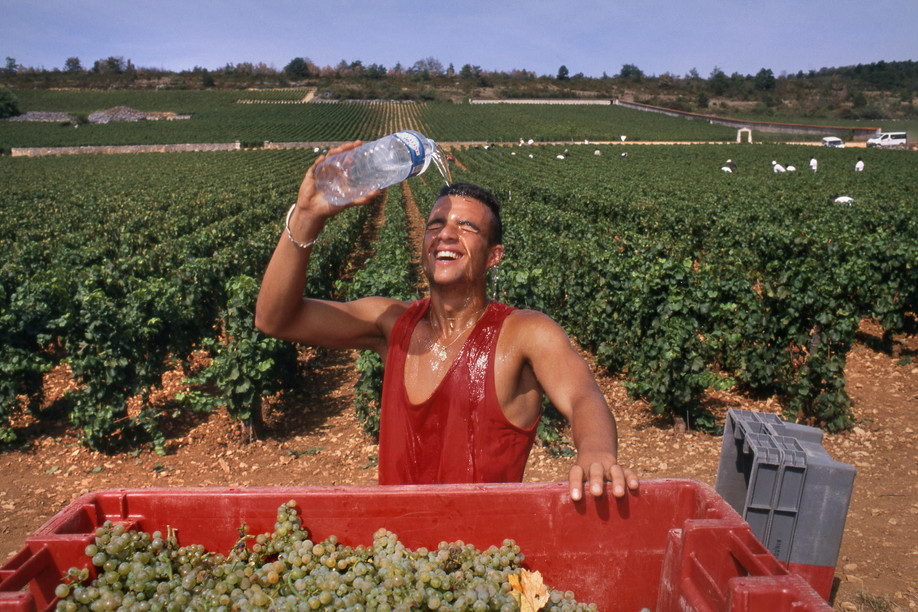 How else to start a successful wine season than by shopping for wine? Photo: Ian Shaw / Alamy Stock Photo