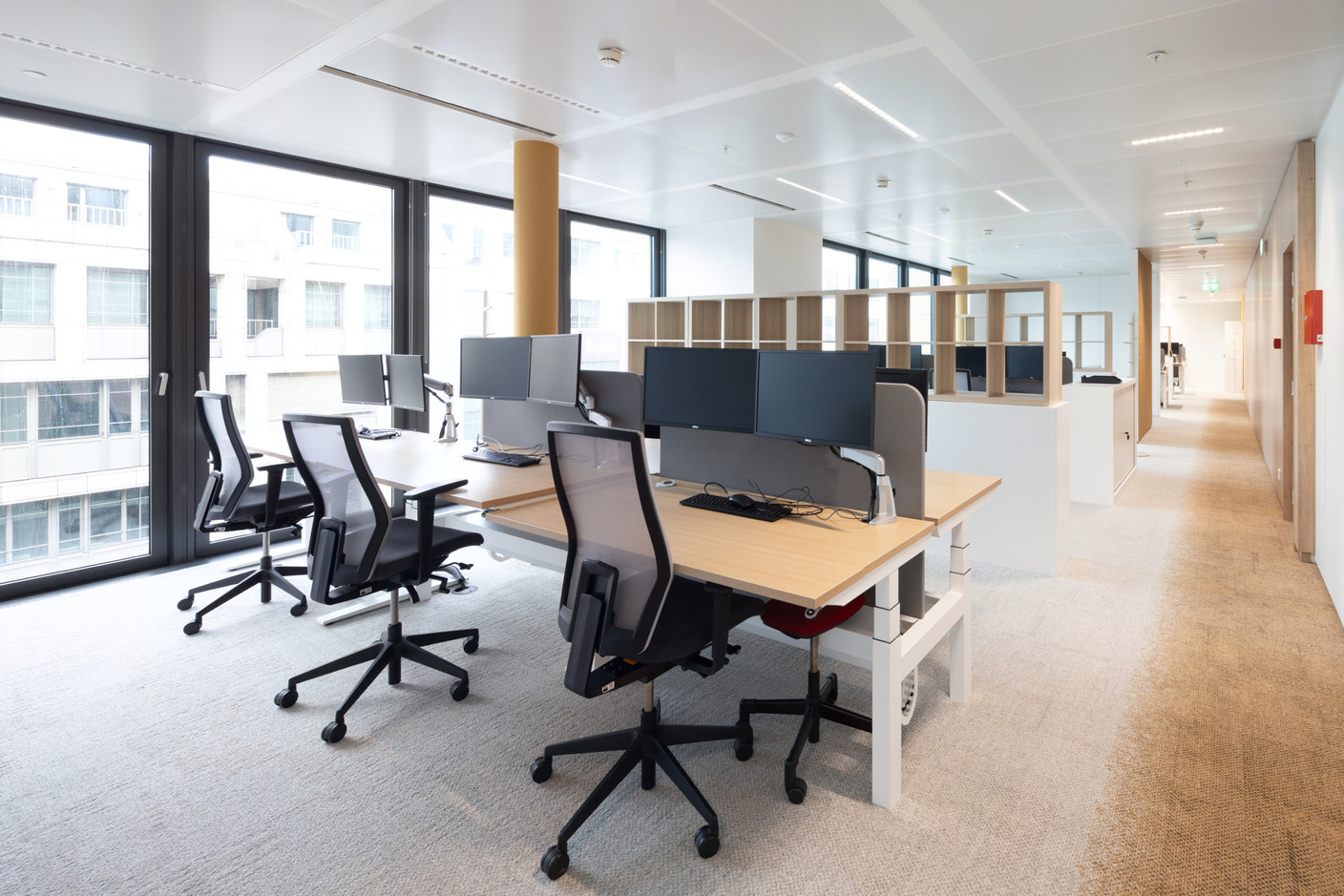 The offices benefit from plenty of natural light. Photo: Guy Wolff/Maison Moderne