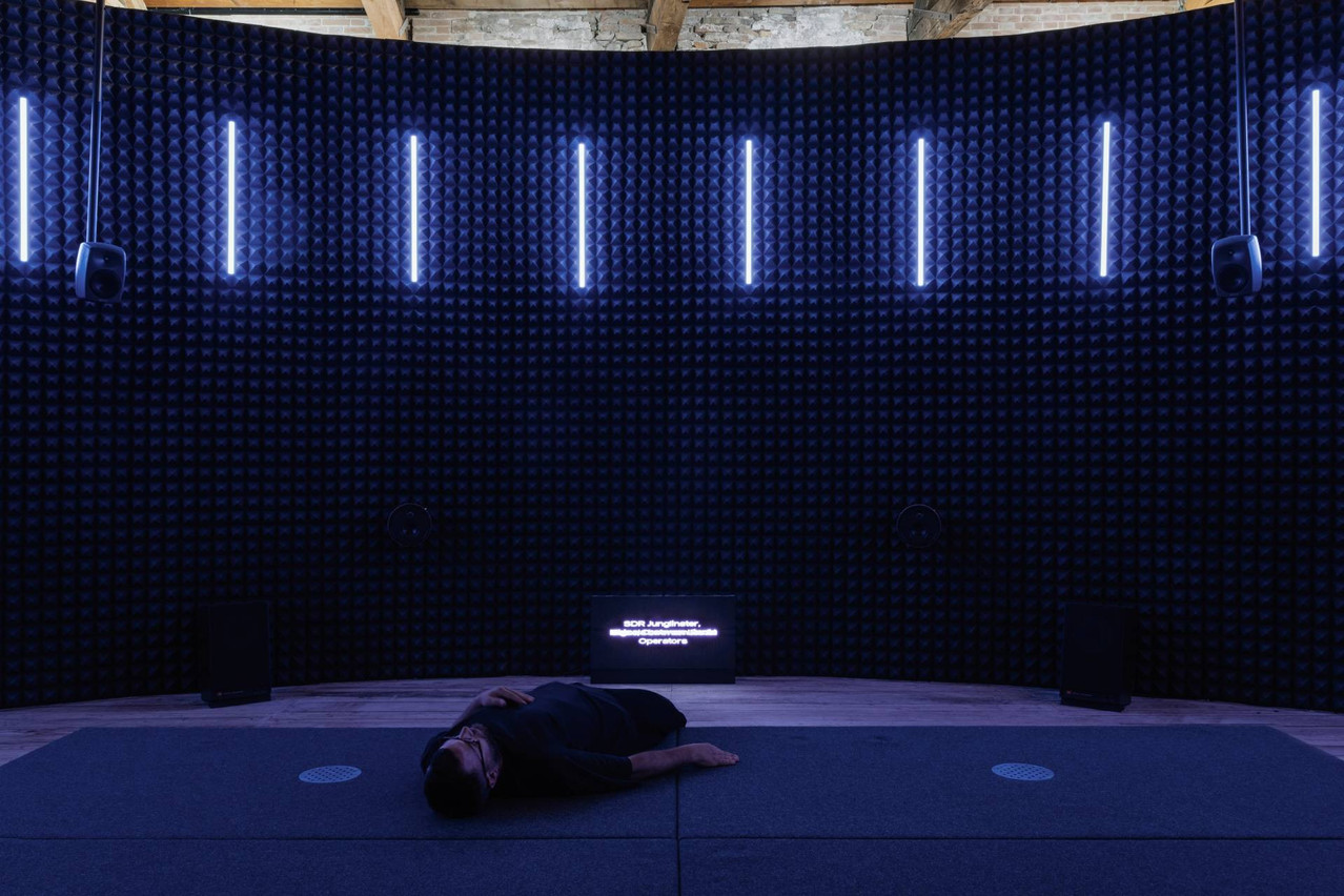 The “Sonic Investigations” exhibition at the 19th Venice Architecture Biennale invites visitors to explore Luxembourg through sound. Photo: Melania Dalle Grave, DSL Studio