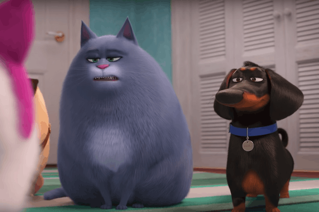 Commes des bêtes (Photo: Capture d’écran / Youtube)