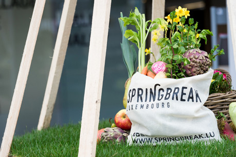 Le Springbreak est repoussé du printemps à l’été pour des raisons de sécurité sanitaire. (Photo: Springbreak/archives)