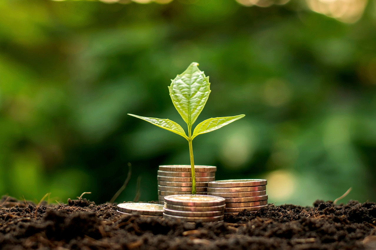 Explosive growth in green capital raising contrasts with worrying signs of stagnation in Europe’s green finance market, warned a recent report from New Financial and Luxembourg for Finance. Photo: Shutterstock