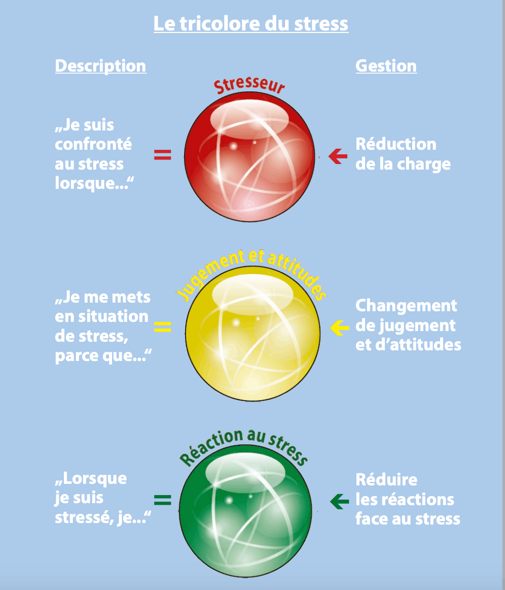 Kaluza’s traffic lights (2011) illustrate the origin of stress factors. Source: Stressberodung, Chambre des salariés/Ligue luxembourgeoise d'hygiène mentale