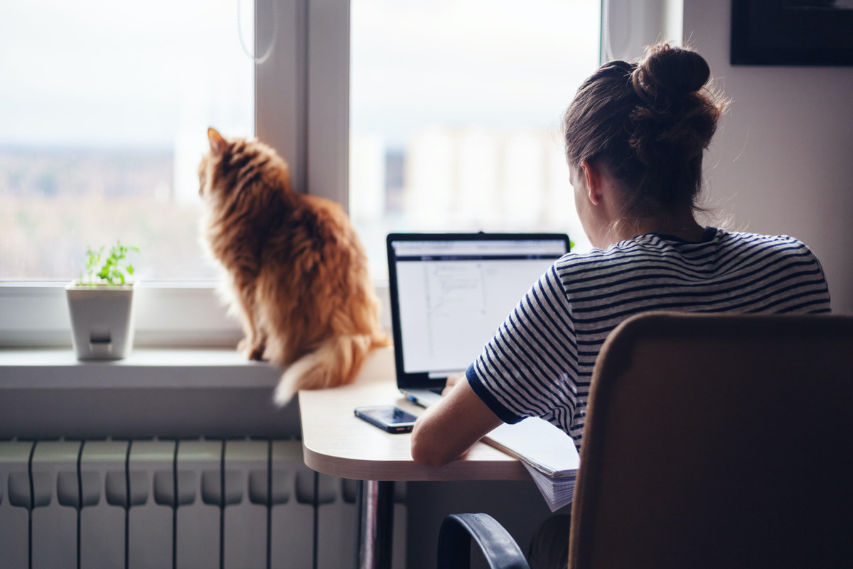 Teleworking not so green after all - Vimarsana News