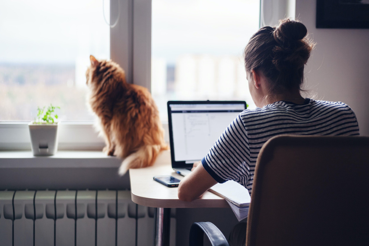 Researchers question the positive impact of teleworking on the climate. Longer commutes, more work, different heating and cooling, energy consumption at home: many factors outweigh the benefits. (Photo: Shutterstock)
