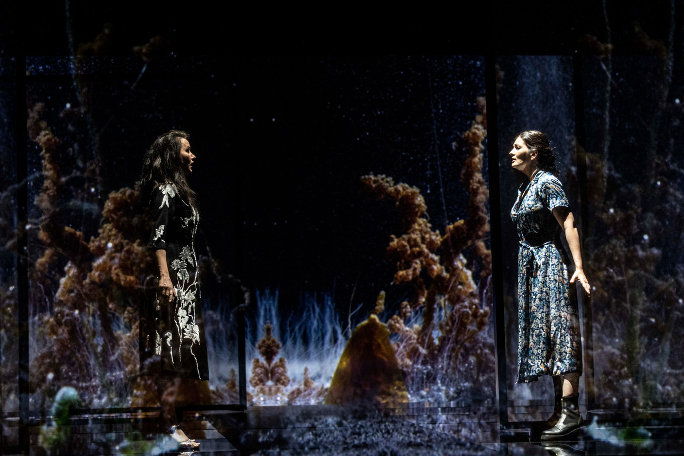 L’opéra en un acte "Picture a day like this" a été créé au festival d’Aix-en-Provence en 2023 et a été acclamé par la critique. Photo : Shutterstock Jean-Louis Fernandez